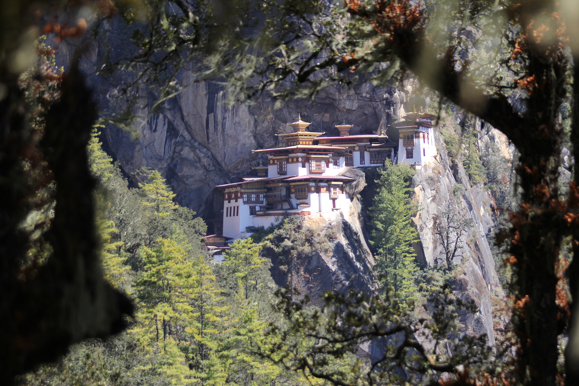 Top 10 Cultural Sites of Bhutan